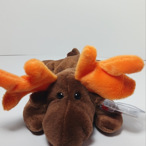 Ty Beanie Baby Chocolate the Moose DOB April 27, 1993 - Picture 4 of 12